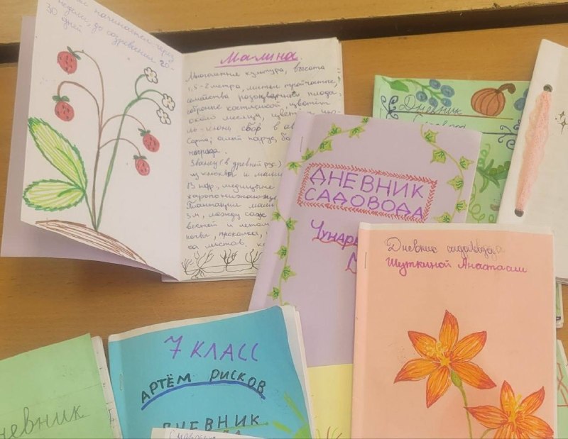 Весна стучится!А это значит, что на уроках технологии в 5, 6 и 7 классах мы активно погружаемся в мир аграрных технологий. Здесь ребята не только изучают теорию, но и с огромным удовольствием применяют знания на практике — выращивают цветочную рассаду для нашего школьного участка.Каждый день ученики с интересом наблюдают за своими растениями, следят за поливом и искренне радуются каждому новому ростку. У каждого появился свой дневник садовода: здесь ребята оформляют записи о цветочных, плодово-ягодных и овощных культурах, делают зарисовки правильной посадки, корневой системы, цветов и плодов.Первые ростки уже требуют пикировки, а совсем скоро мы займёмся пересадкой каждого растения в отдельную ёмкость. Опыт показывает: дети любят землю и с радостью берутся за практические задания на уроках технологии.Пусть весеннее настроение и трудовые успехи обогащают души наших учеников! 🌿