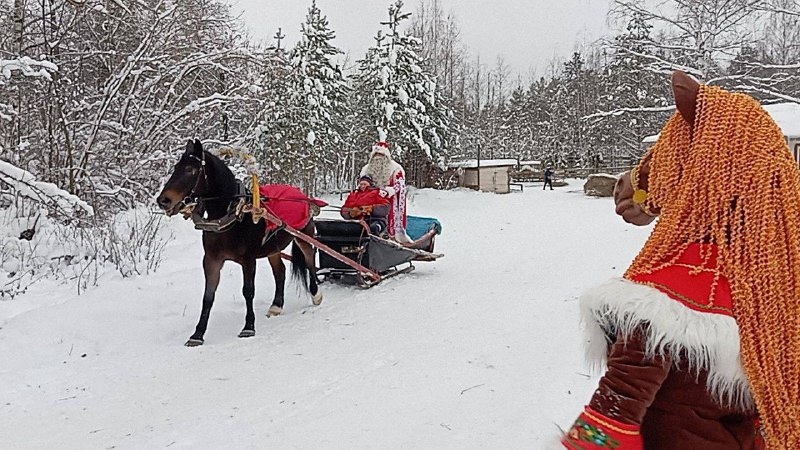 🐎✨Путешествие в волшебный мир "Сивки-Бурки"! ✨🐎Наши ребята из  1А и 3А класса совершили незабываемое приключение в конный клуб "Сивка-Бурка"! Наши маленькие герои:Катались на санях и забавном "банане" по сказочному заснеженному лесу Весело проводили время вместе с любимыми героями — Хвалёным и Гуленой Познакомились с очаровательными пони, грациозными лошадьми, величественным верблюдом, забавным кабаном и множеством ярких пернатых друзей — курами, павлинами, утками и другими птицами.Кормили настоящих северных оленей Встречали самого настоящего Деда Мороза и получали сладкие подарки — символы наступившего года 