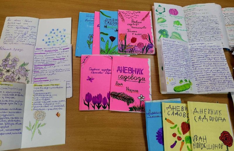 Весна стучится!А это значит, что на уроках технологии в 5, 6 и 7 классах мы активно погружаемся в мир аграрных технологий. Здесь ребята не только изучают теорию, но и с огромным удовольствием применяют знания на практике — выращивают цветочную рассаду для нашего школьного участка.Каждый день ученики с интересом наблюдают за своими растениями, следят за поливом и искренне радуются каждому новому ростку. У каждого появился свой дневник садовода: здесь ребята оформляют записи о цветочных, плодово-ягодных и овощных культурах, делают зарисовки правильной посадки, корневой системы, цветов и плодов.Первые ростки уже требуют пикировки, а совсем скоро мы займёмся пересадкой каждого растения в отдельную ёмкость. Опыт показывает: дети любят землю и с радостью берутся за практические задания на уроках технологии.Пусть весеннее настроение и трудовые успехи обогащают души наших учеников! 🌿