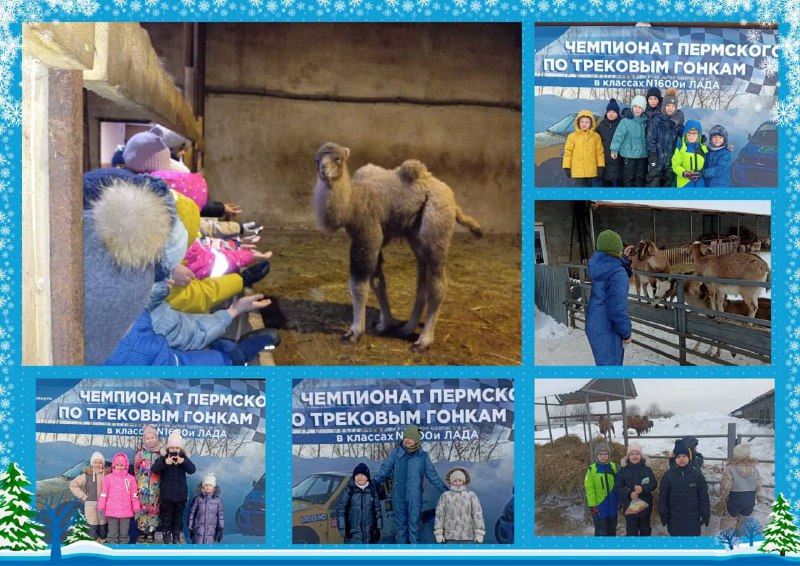 📌25 февраля ученики 1 «А» и 3 «А» классов отправились на традиционную Широкую Масленицу в гостеприимный Красавинский хуторок! 🐄🦃🐎Здесь ребят ждали весёлые приключения и знакомство с необычными обитателями фермы:✨ Великолепные канадские бизоны,✨ Чёрные африканские страусы,✨ Любопытные козлики и милые кролики,✨ Петушки, курочки, индейки и утки,✨ Милые коровки с забавными телятами.Но больше всего детей очаровал маленький верблюжонок, родившийся всего две недели назад! 😍 Кстати, хозяин фермы придумал оригинальную идею давать животным клички популярных марок автомобилей. 🚗💖📸 Дети активно фотографировались, ласково гладили и угощали зверушек вкусняшками прямо с ладошек. Все ребята получили массу положительных эмоций и впечатлений!Затем всех участников праздника пригласили принять участие в увлекательных масленичной программе: забавы, конкурсы, розыгрыши никого не оставили равнодушными. Взрослым и детям было весело и интересно!Ну, а какая же Масленица без ароматных горячих блинчиков?! Завершился праздник дружным чаепитием и сладким застольем с румяными блинами!
