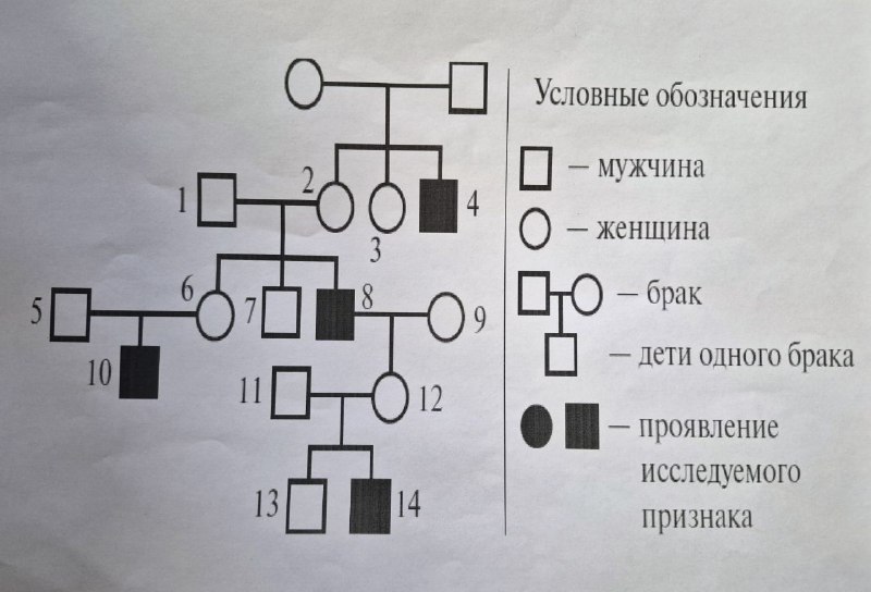 Как мы уже рассказывали, в «Европейской школе» проходит защита индивидуальных проектов в 10 и 11 классах. На этой неделе жюри заслушало выступления учащихся 11 класса. Иван Шамарин подготовил проект на тему «Как СМИ влияют на общество». Выводы: СМИ опасны способностью манипулировать сознанием, формировать искаженные ценности и ложные стереотипы, особенно у подростков и молодежи, а также вовлекать в опасные сообщества. Поэтому важно развивать навыки критического мышления и перепроверять информацию. Артур Боринских изучал тему «Интернет в жизни старшеклассника: за и против». Как показало его исследование, 80 - 90% молодежи считает интернет неотъемлемой частью свой жизни, при этом основная масса опрошенных использует интернет до 4 часов в день и в основном не в учебных целях.Артем Захаров работал над созданием мультимедийного проекта о подводных лодках эпохи Второй мировой войны. В ходе работы он использовал технические данные специализированных сайтов и форумов, посвященных подводным лодкам и военным операциям, тематические компьютерные игры-симуляторы и возможности искусственного интеллекта. На выходе получился качественный мультимедийный продукт, позволяющий изучить устройство подводной лодки. Артем Неверов изучал спортивные маршруты города Перми. Он представил главные объекты спортивно-оздоровительной инфраструктуры города, а также рассказал об известных российских спортсменах, которые родились в Прикамье. Среди них – Константин Зырянов, самый титулованный пермский футболист, Мария Тотьмянина, знаменитая российская фигуристка, Виталий Соломин – первый советский чемпион мира по боксу в легком весе, Мария Истомина, лыжница, призер чемпионата России и этапа кубка Мира и др. В секции «Естественные науки» Марина Петровых изучала, как наследственность влияет на состояние волос. В исследовательской части работы она составила родословную своей семьи, чтобы выяснить, как среди родственников наследуется ген алопеции (облысения). Научный руководитель: Милена Алексеевна Бурдина, учитель биологии и химии. Дарья Кузнецова познакомила слушателей с понятием афантазии и анендофазии: это особенности мышления, связанные с отсутствием мысленных образов и внутреннего голоса. Особенность в том, что люди зачастую не осознают, что их восприятие отличается от нормы, а общество не учитывает эту нетипичность.📍На основе проведенного опроса в школе также выявлены дети с этими особенностями. Поскольку  явления еще изучаются современной наукой, в ходе работы Дарья опиралась на исследования из зарубежных интернет-источников.Напомним, что индивидуальный проект - это самостоятельная исследовательская работа ученика, которая ведется в течение учебного года. Оценка за него идет в аттестат.Как мы уже рассказывали, в «Европейской школе» проходит защита индивидуальных проектов в 10 и 11 классах. На этой неделе жюри заслушало выступления учащихся 11 класса. Иван Шамарин подготовил проект на тему «Как СМИ влияют на общество». Выводы: СМИ опасны способностью манипулировать сознанием, формировать искаженные ценности и ложные стереотипы, особенно у подростков и молодежи, а также вовлекать в опасные сообщества. Поэтому важно развивать навыки критического мышления и перепроверять информацию. Артур Боринских изучал тему «Интернет в жизни старшеклассника: за и против». Как показало его исследование, 80 - 90% молодежи считает интернет неотъемлемой частью свой жизни, при этом основная масса опрошенных использует интернет до 4 часов в день и в основном не в учебных целях.Артем Захаров работал над созданием мультимедийного проекта о подводных лодках эпохи Второй мировой войны. В ходе работы он использовал технические данные специализированных сайтов и форумов, посвященных подводным лодкам и военным операциям, тематические компьютерные игры-симуляторы и возможности искусственного интеллекта. На выходе получился качественный мультимедийный продукт, позволяющий изучить устройство подводной лодки. Артем Неверов изучал спортивные маршруты города Перми. Он представил главные объекты спортивно-оздоровительной инфраструктуры города, а также рассказал об известных российских спортсменах, которые родились в Прикамье. Среди них – Константин Зырянов, самый титулованный пермский футболист, Мария Тотьмянина, знаменитая российская фигуристка, Виталий Соломин – первый советский чемпион мира по боксу в легком весе, Мария Истомина, лыжница, призер чемпионата России и этапа кубка Мира и др. В секции «Естественные науки» Марина Петровых изучала, как наследственность влияет на состояние волос. В исследовательской части работы она составила родословную своей семьи, чтобы выяснить, как среди родственников наследуется ген алопеции (облысения). Научный руководитель: Милена Алексеевна Бурдина, учитель биологии и химии. Дарья Кузнецова познакомила слушателей с понятием афантазии и анендофазии: это особенности мышления, связанные с отсутствием мысленных образов и внутреннего голоса. Особенность в том, что люди зачастую не осознают, что их восприятие отличается от нормы, а общество не учитывает эту нетипичность.📍На основе проведенного опроса в школе также выявлены дети с этими особенностями. Поскольку  явления еще изучаются современной наукой, в ходе работы Дарья опиралась на исследования из зарубежных интернет-источников.Напомним, что индивидуальный проект - это самостоятельная исследовательская работа ученика, которая ведется в течение учебного года. Оценка за него идет в аттестат.